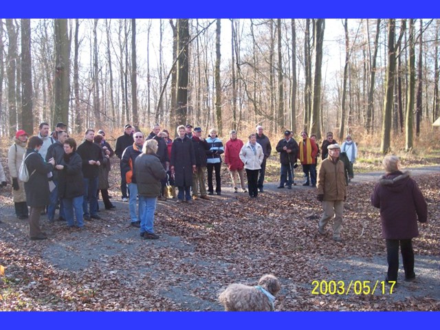 Grnkohlwanderung 2008